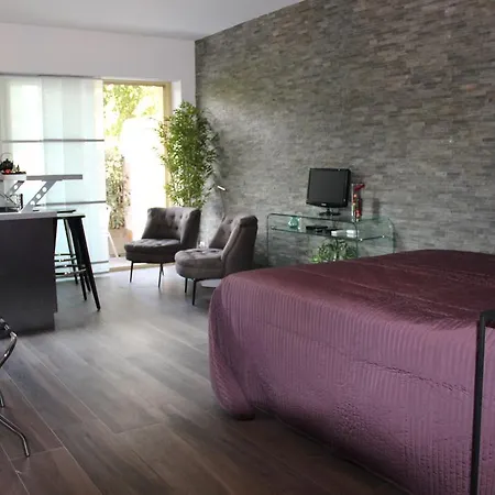 Luxueux Studio Centre Apartment Cannes