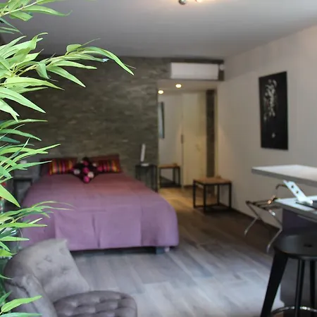 Luxueux Studio Centre Apartment Cannes