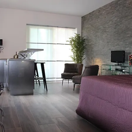 Luxueux Studio Centre Apartment Cannes