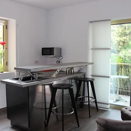 Apartment Luxueux Studio Centre *